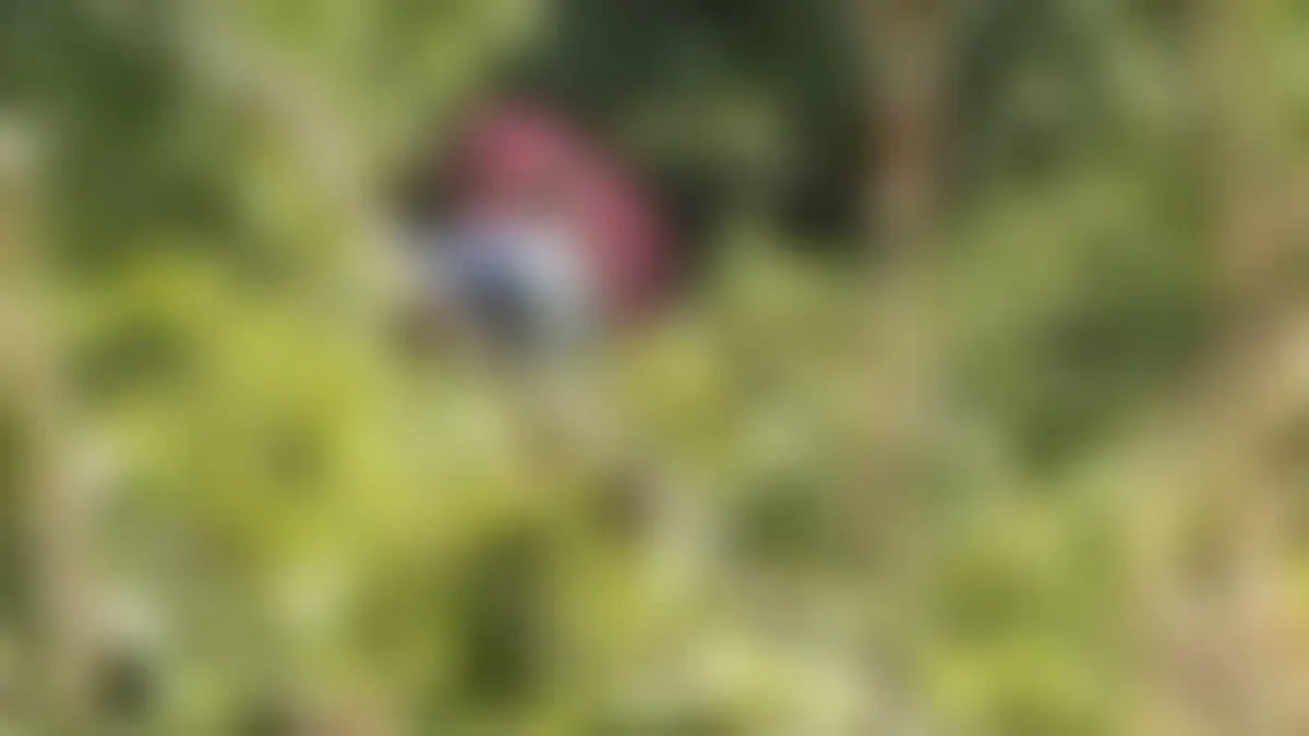 Hombre detenido en un retén de Coyuca aparece ejecutado 3 días después; familiares señalan a policías municipales