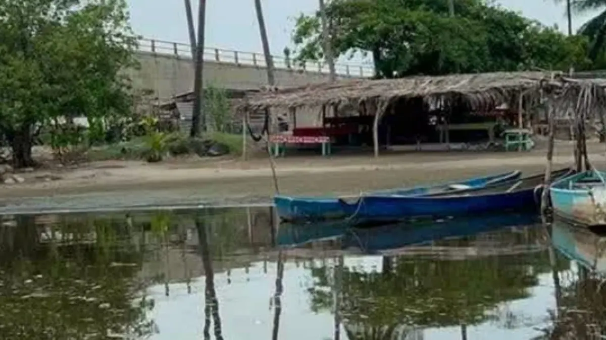 Laguna de Tres Palos bajo vigilancia por mortandad de especies tras lluvias en Acapulco