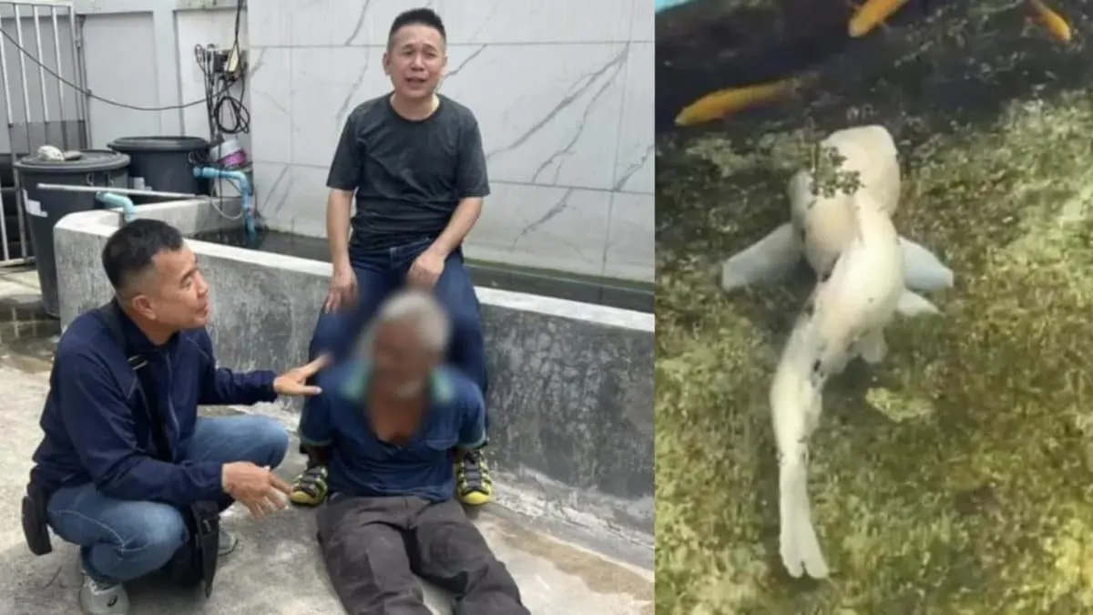 Sujeto acusado de practicar zoofilia, es detenido tras ser captado abusando sexualmente de un pez koi