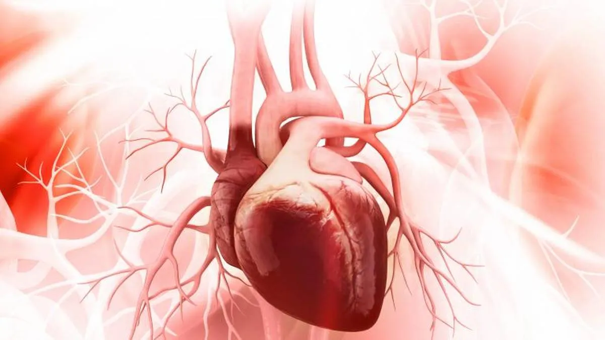 Corazones trasplantados pueden adoptar la edad biológica de quien los recibe