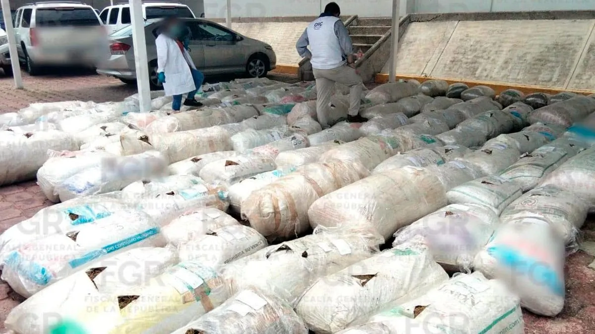 FGR incinera casi dos toneladas de narcóticos en Guerrero