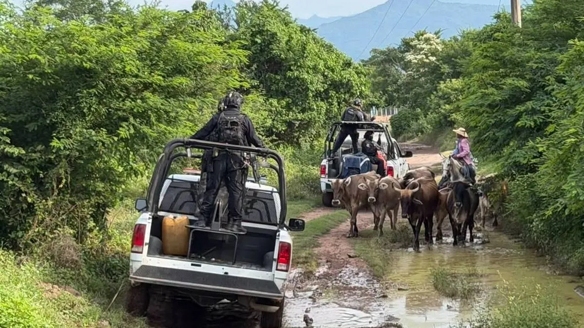 Reportan 33 detenidos y 21 órdenes de aprehensión ejecutadas en Guerrero en una semana