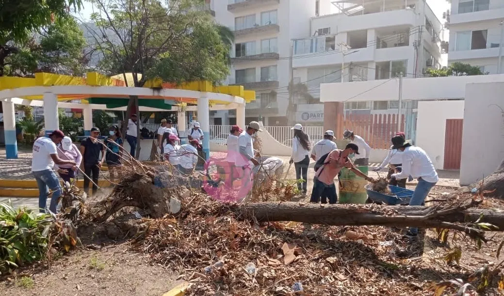 Se suman jóvenes de todo México para la reconstrucción de Acapulco