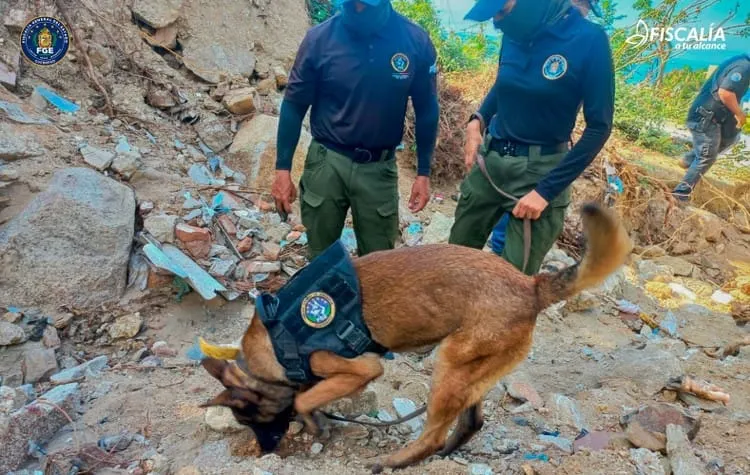 Sube a 50 cifra de muertos por Otis; hay 30 desaparecidos