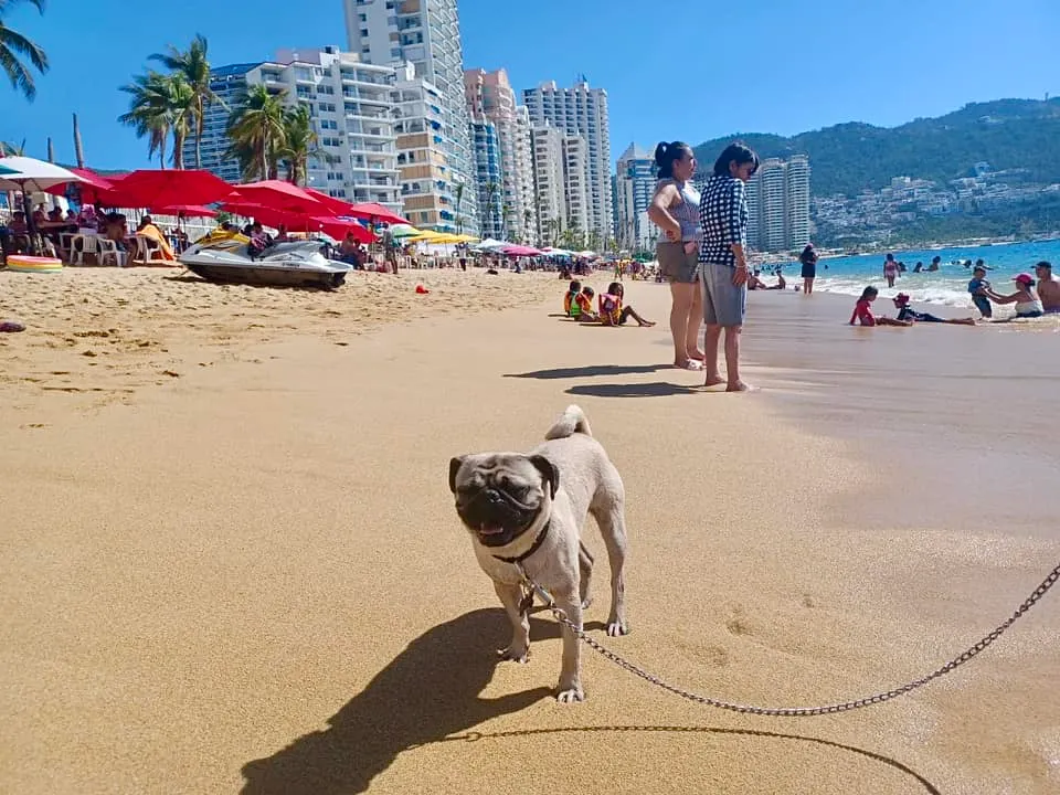 Guerrero, al 89.3% de ocupación hotelera el último día de 2023