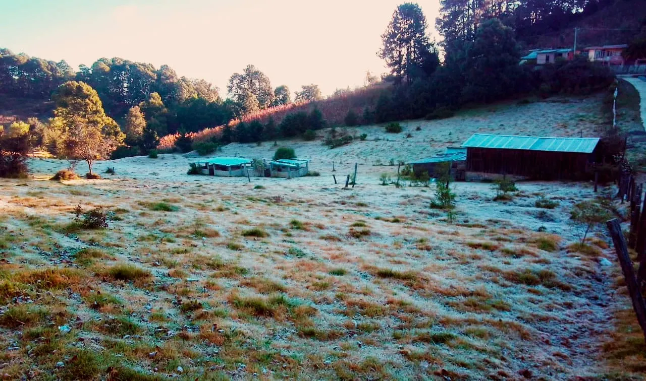 ¿Cuántos frentes fríos habrá en México durante 2024?