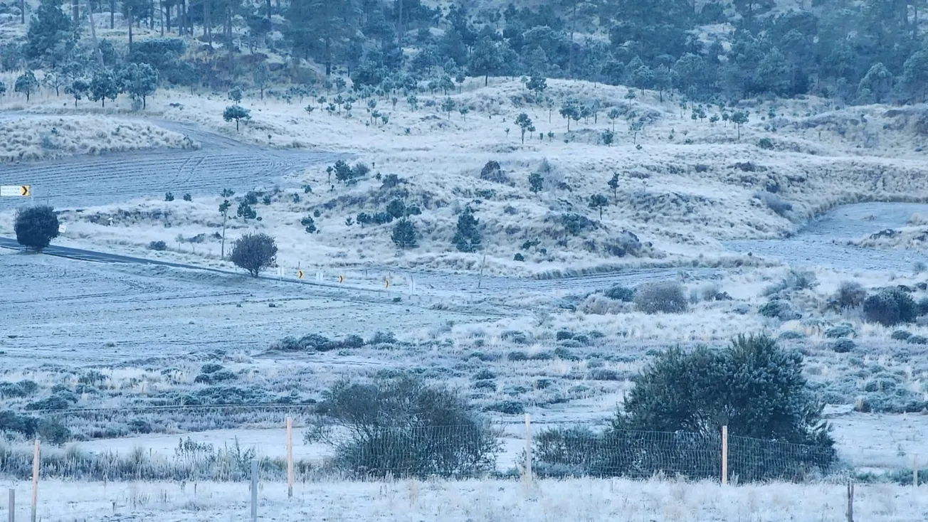 Registran temperaturas bajo cero al norte de Morelos