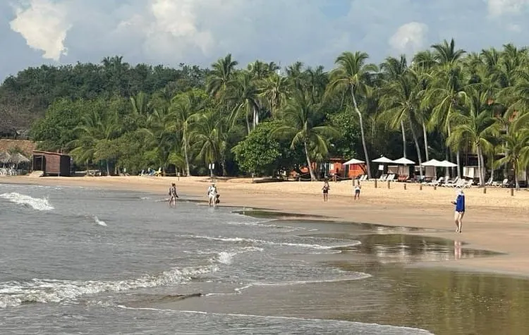 Presunto ataque de tiburón deja un canadiense muerto en Ixtapa, Guerrero