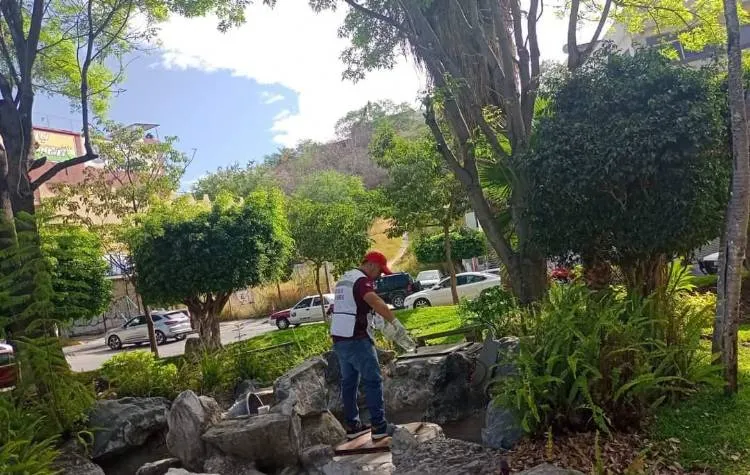 Gobierno de Norma Otilia combate dengue en parques de Chilpancingo