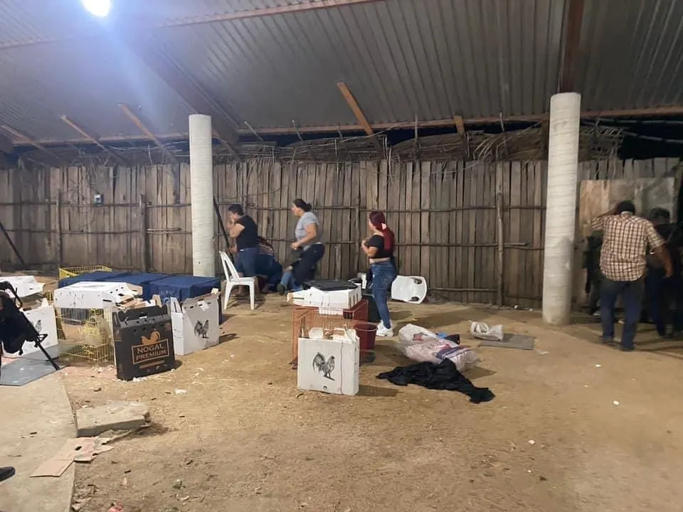 Ataque en palenque de Petatlán por disputa entre ‘El Gavilán’ y ‘El Ruso’, señala la Fiscalía