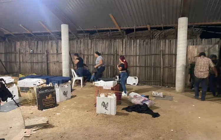 Asesinaron a 13 personas el fin de semana en Guerrero