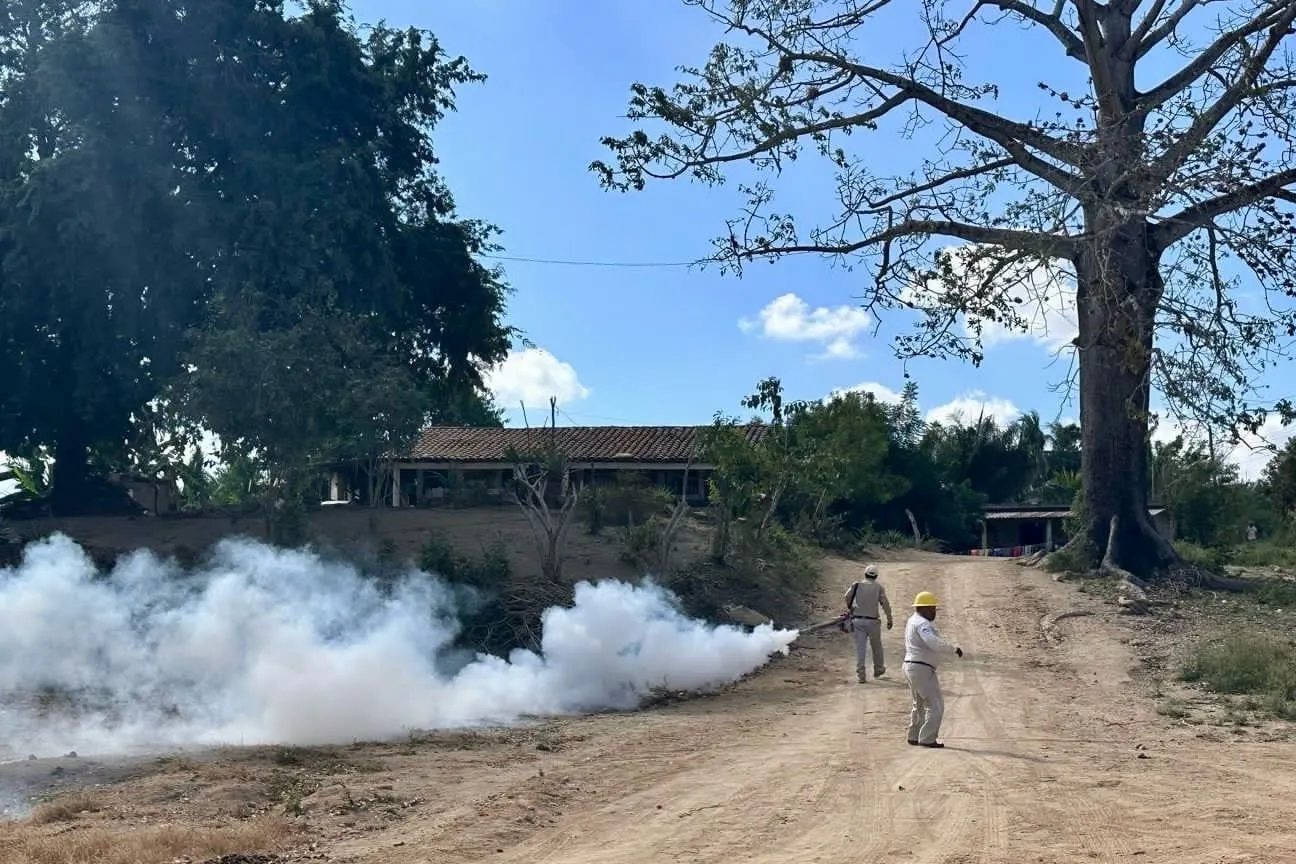 Refuerzan la fumigación en colonias de San Marcos, ante aumento de casos de dengue
