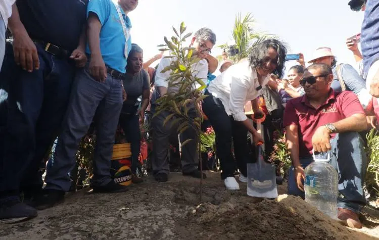 Entrega Abelina López mil 500 árboles para la reforestación de Acapulco