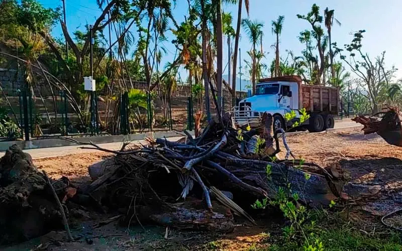 Reforestarán el Parque Papagayo de Acapulco con 2 mil 500 árboles