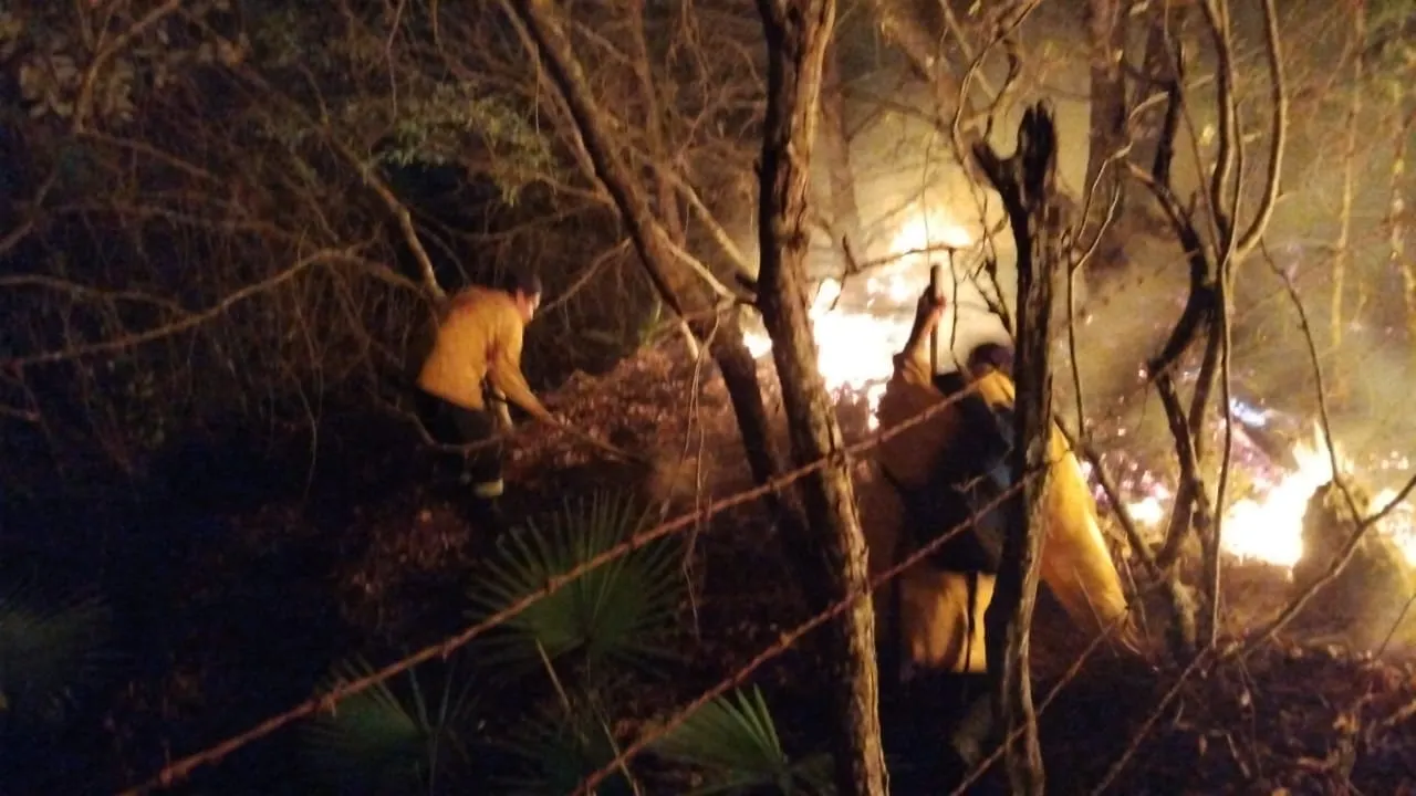 Se combaten seis incendios forestales en Guerrero, reporta Protección Civil