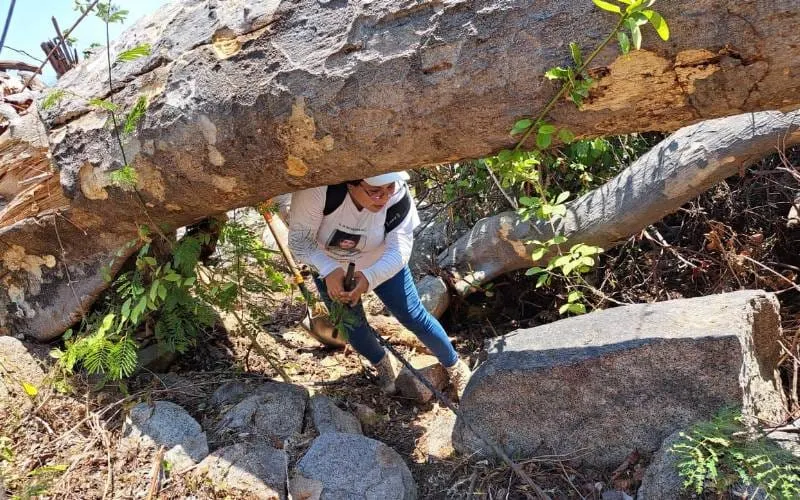 Colectivo reanuda búsqueda de desaparecidos en Acapulco
