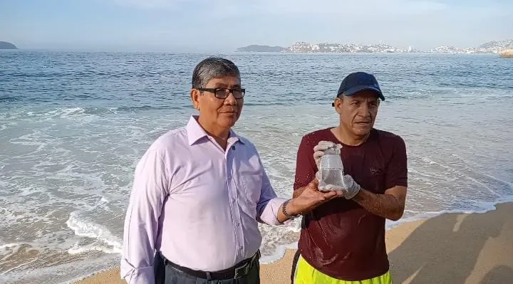 Todas las playas de Acapulco son aptas para turistas, asegura Ecología