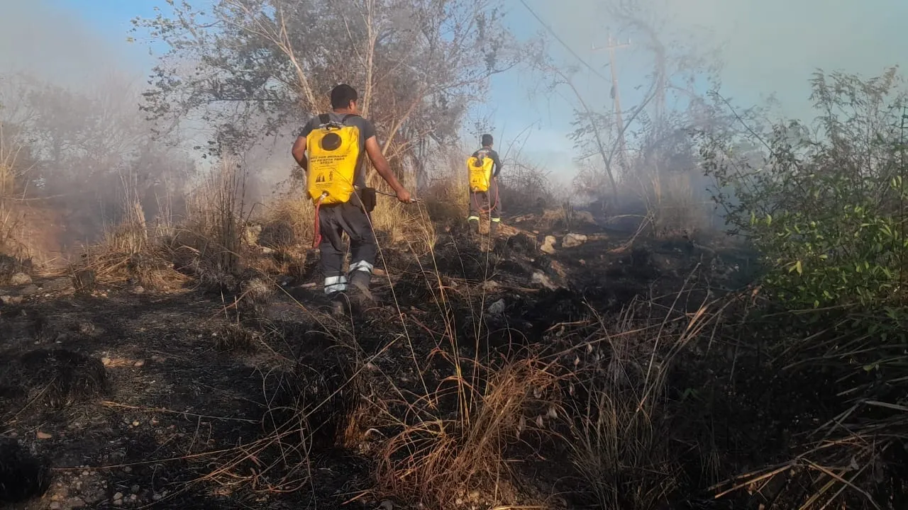 Bomberos combaten un nuevo incendio en la Jardín Palmas de Acapulco