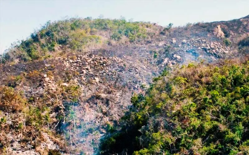 Afectó 20 hectáreas el incendio forestal de la Jardín-Palmas de Acapulco