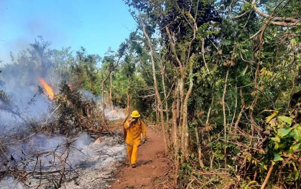 Siguen activos tres incendios en El Veladero; controla PC el 85% del fuego