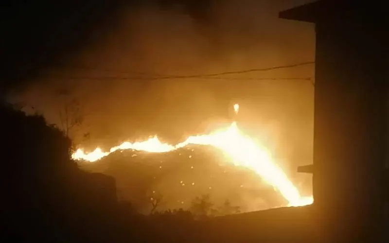 Incendios forestales arrasan 280 héctareas en Chilpancingo, Guerrero