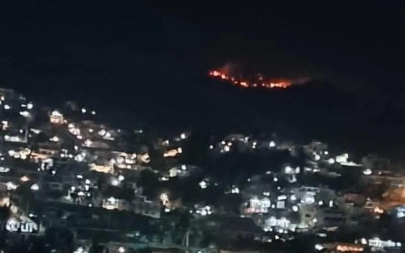 Se registra nuevo incendio en parque El Veladero de Acapulco