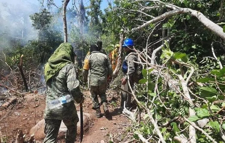 Suman 53 hectáreas arrasadas por los incendios forestales en Acapulco