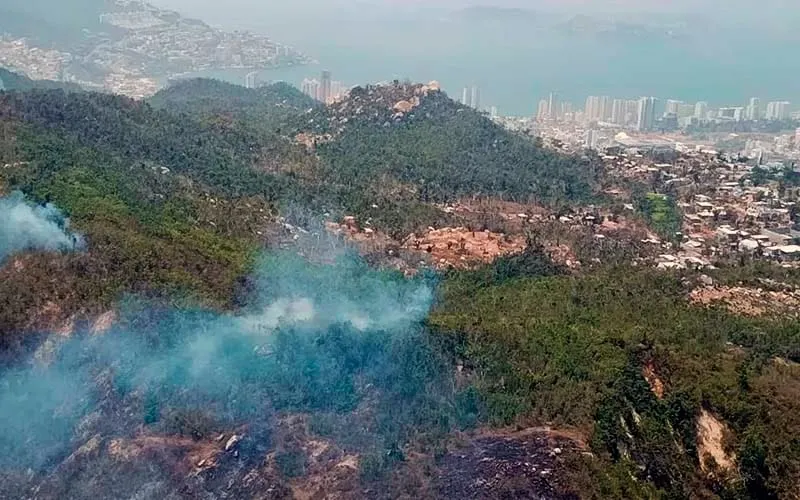 Arrasan más de 300 hectáreas incendios forestales en Acapulco