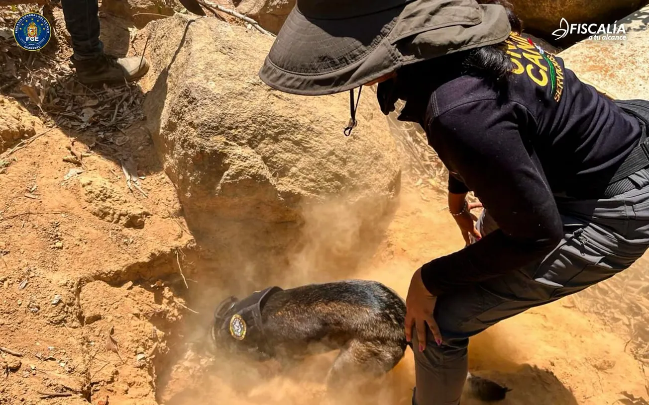 Localiza la FGE una osamenta en fosa clandestina de Acapulco