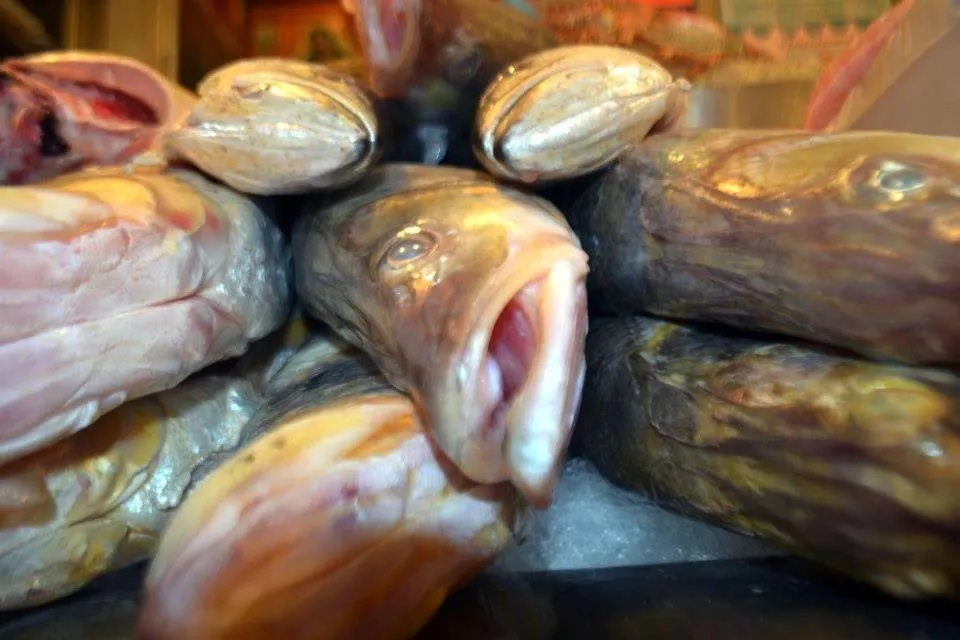 ¡Aguas! Emite SSG recomendación para comprar mariscos en Semana Santa