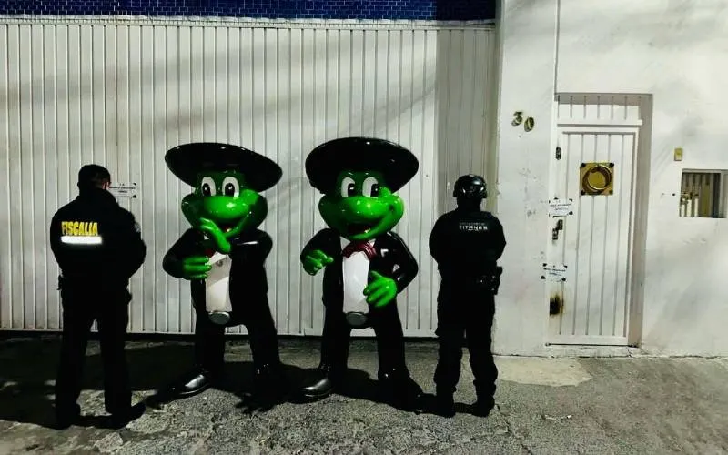 Encuentran en EdoMex a las ranas robadas en Acapulco tras huracán Otis