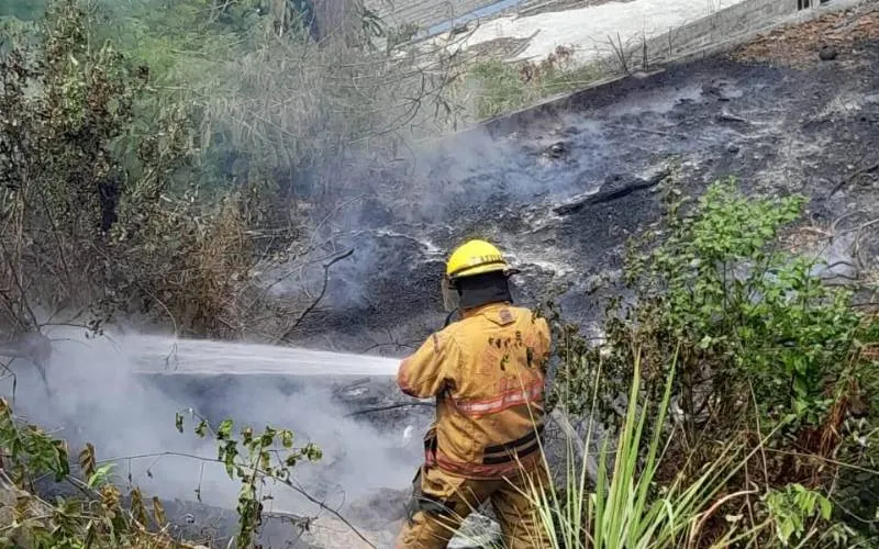 Afectan incendios a varias zonas de Acapulco