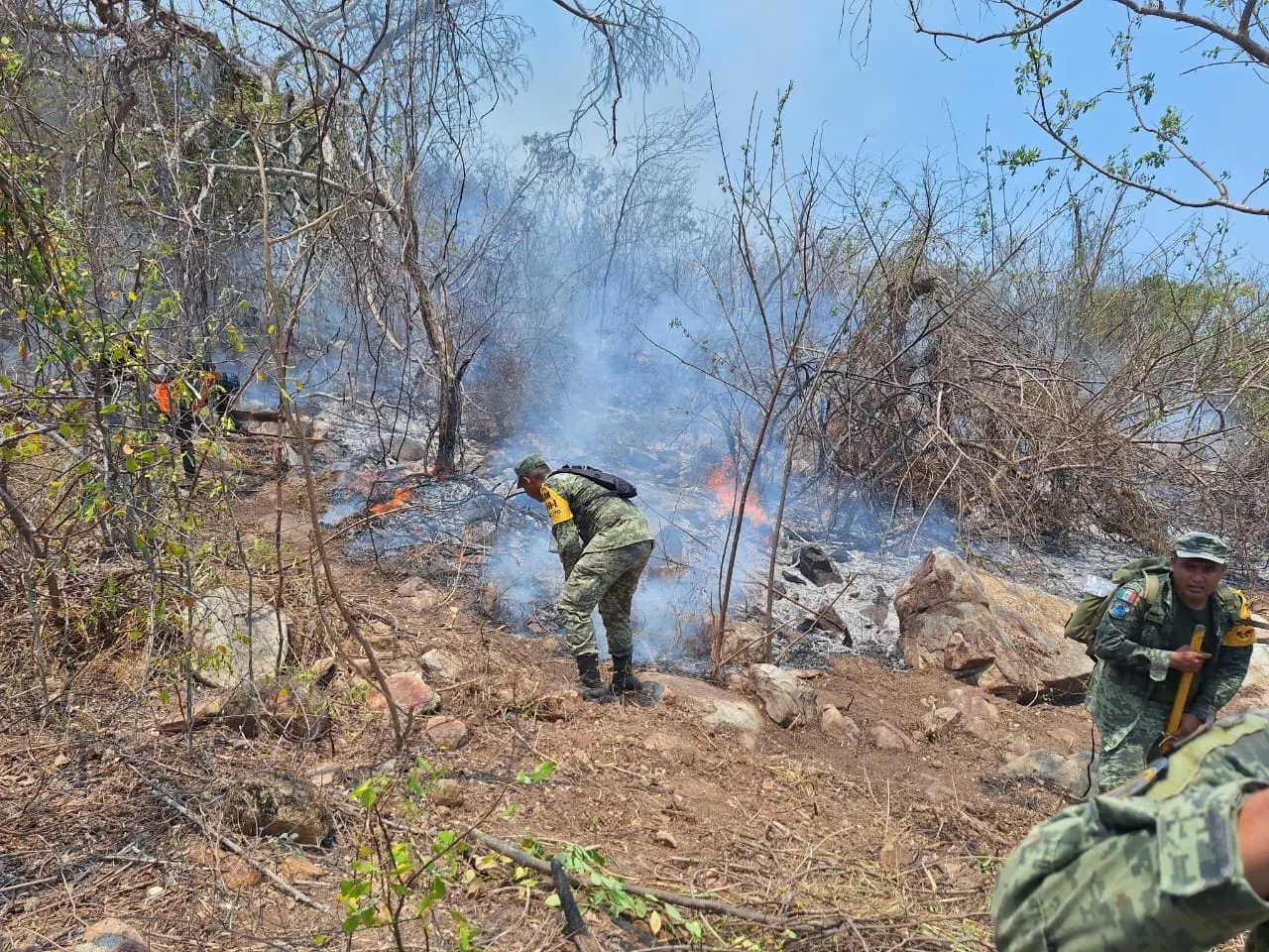 Soldados realizan labores de sofocación en el Parque Nacional El Veladero