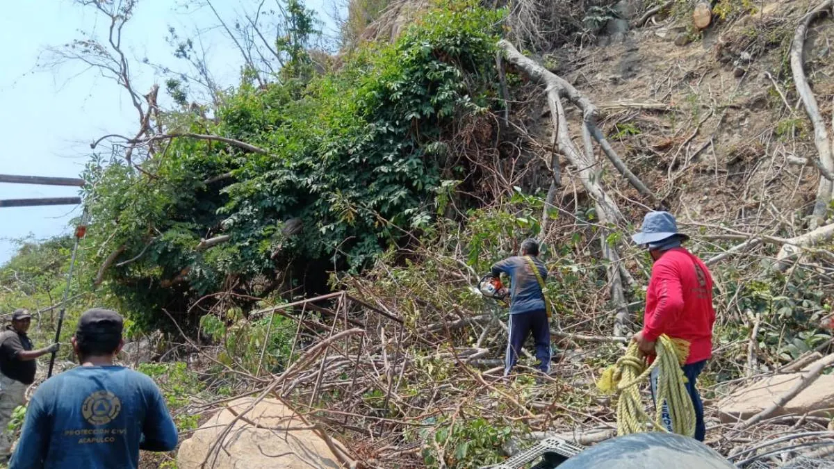 Retiran árboles caídos de playa Revolcadero de Acapulco
