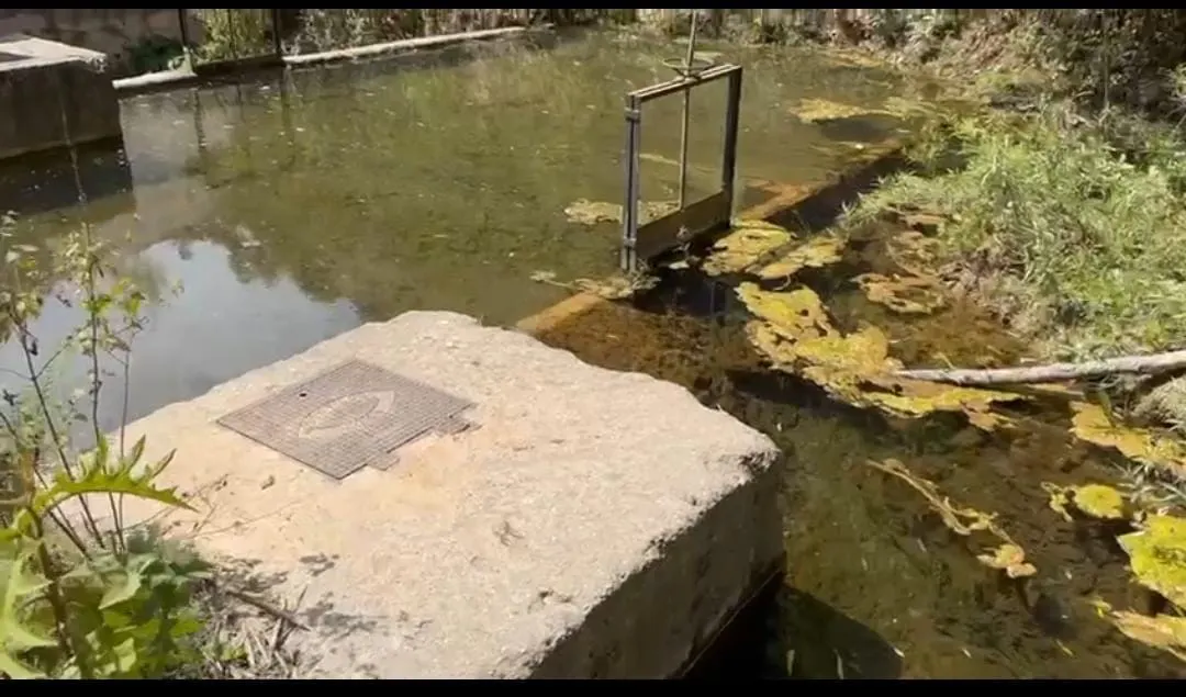 Se agrava la escasez de agua en Chilpancingo; enfrenta su peor crisis en 25 años