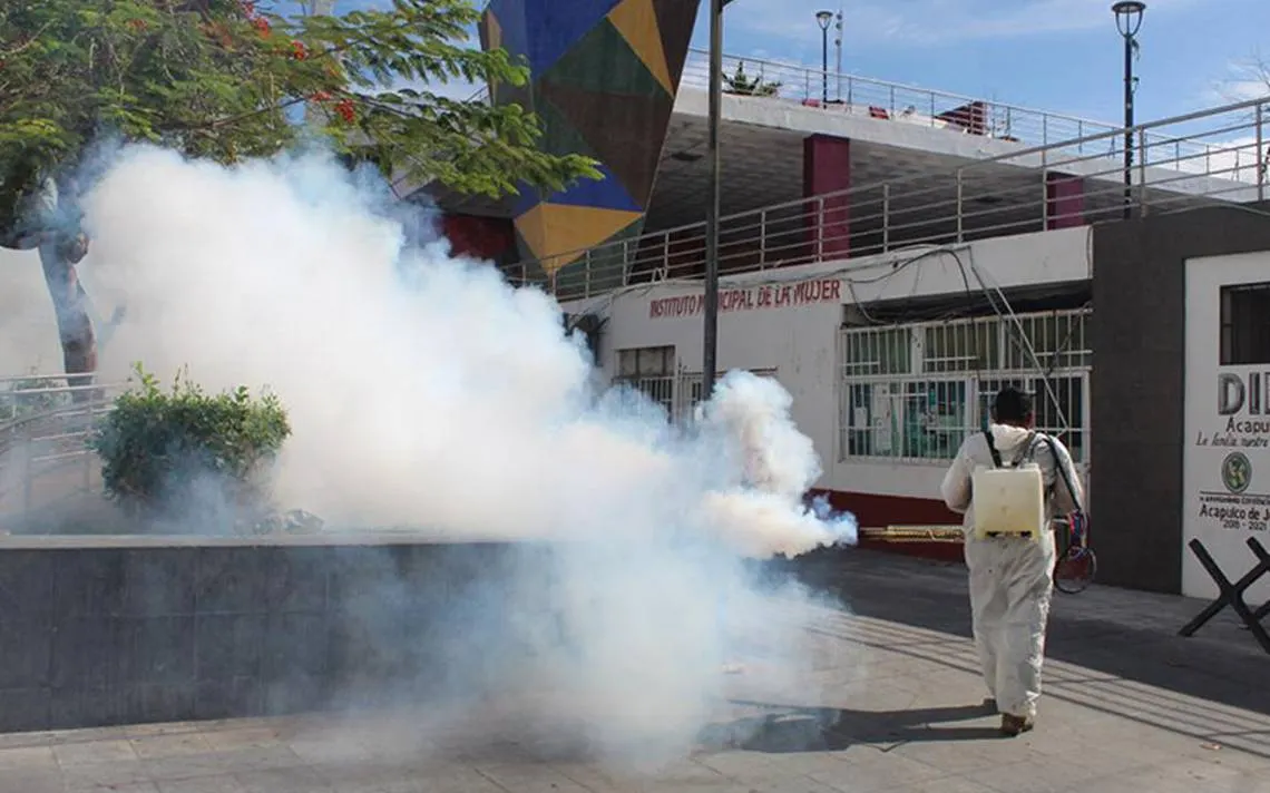 Guerrero, es el segundo estado con más casos de dengue en el país