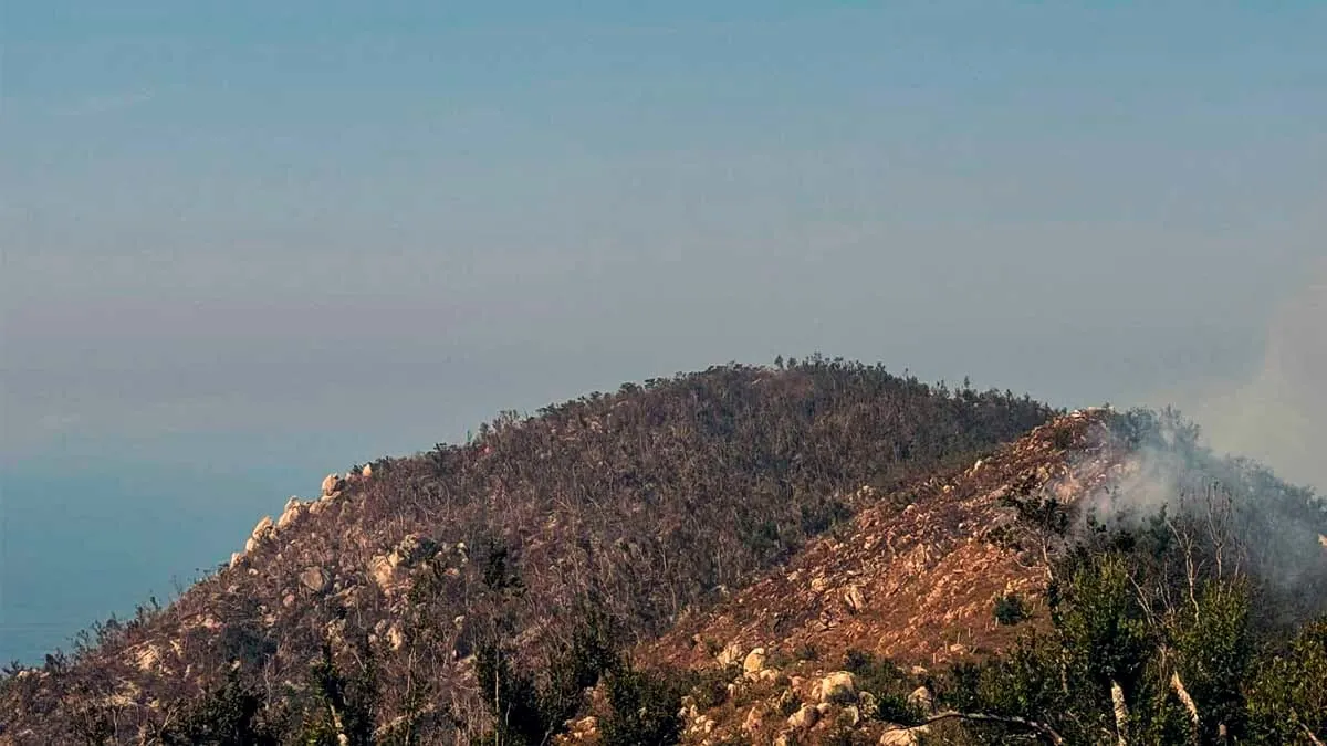 Controlan en Acapulco incendios forestales que han arrasado con 295 hectáreas de El Veladero