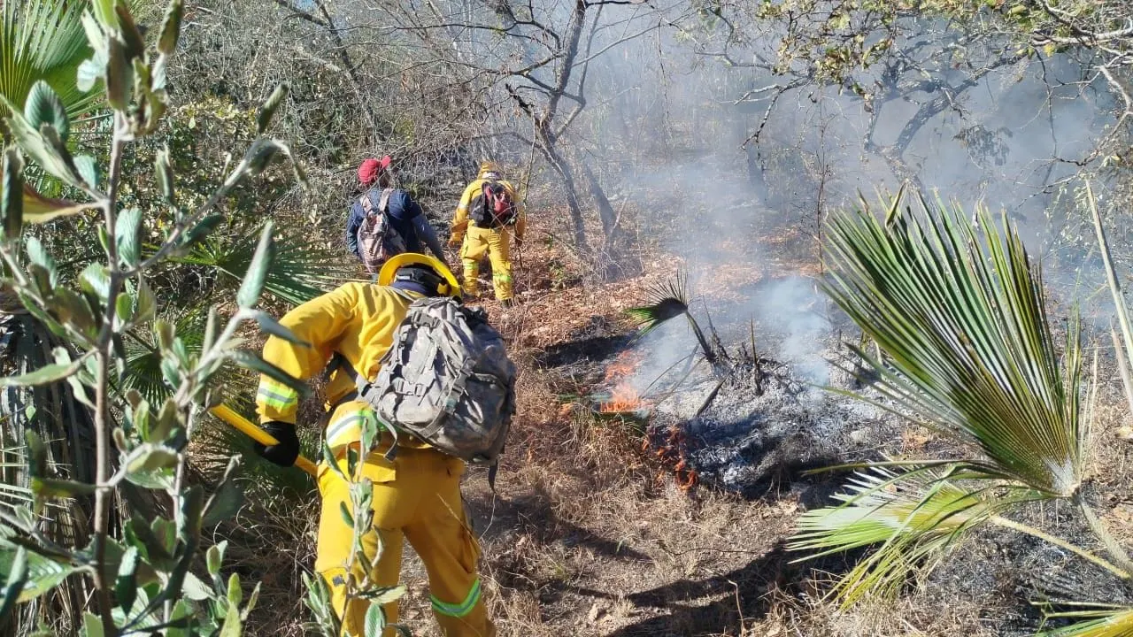Anuncian multas de hasta 540 mil pesos a quien queme basura en Acapulco