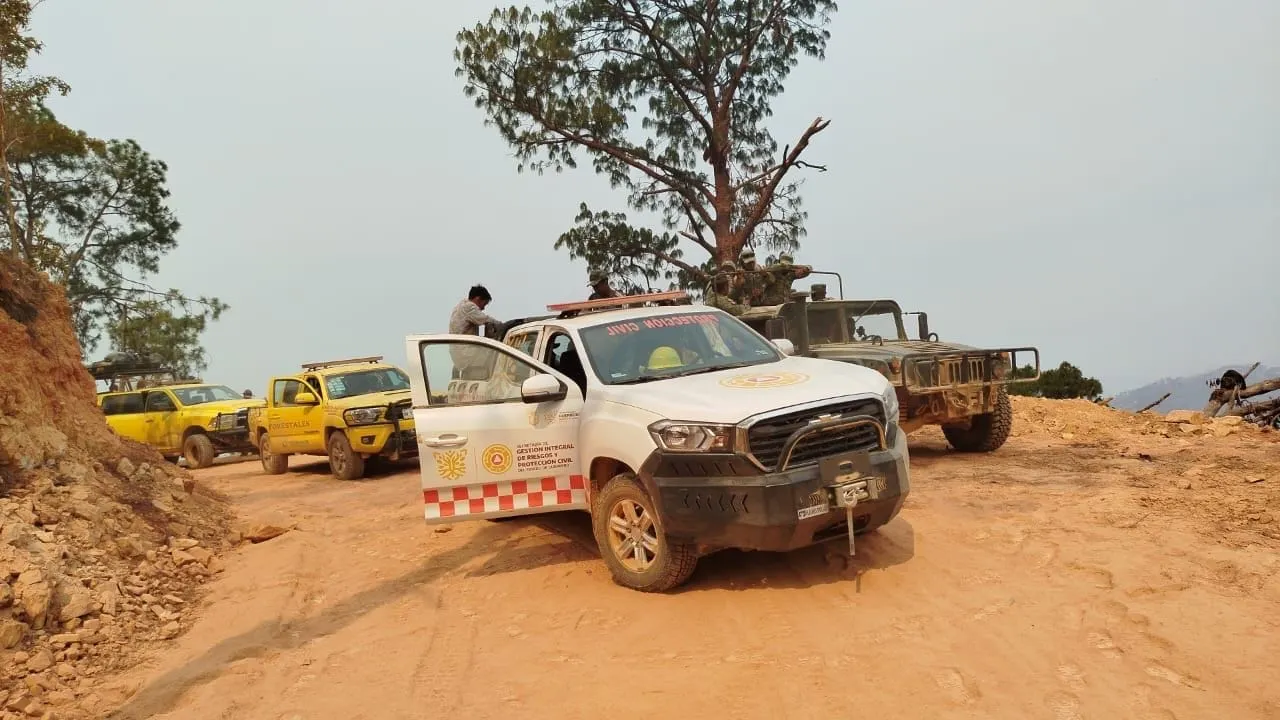 Despliegan brigadas estatales para atender cinco incendios forestales en Chilpancingo