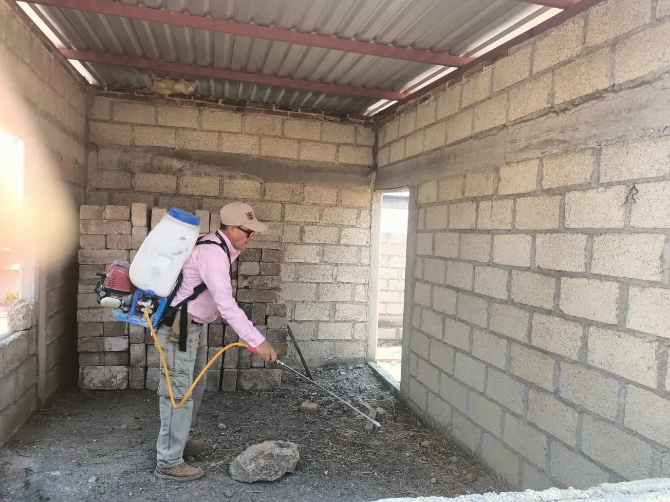 Al alza los casos de dengue en Guerrero; reporta 2 mil 972 atenciones