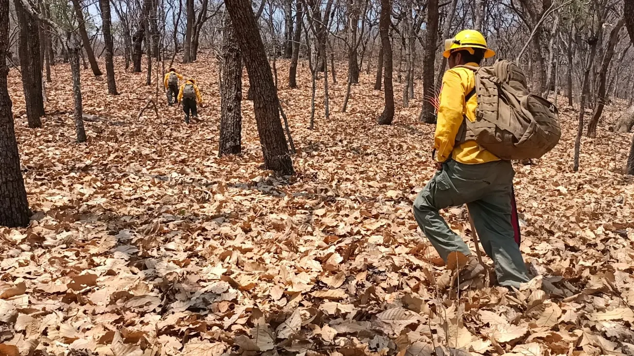 Se registran tres incendios en Morelos; bomberos logran sofocar uno en Tilzapotla