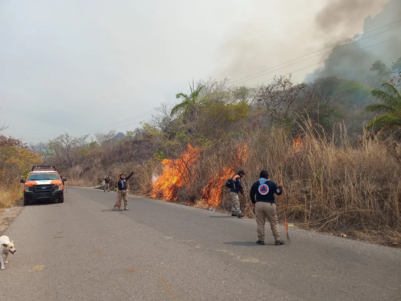 Repuntan casos de enfermedades respiratorias por incendios en Chilpancingo