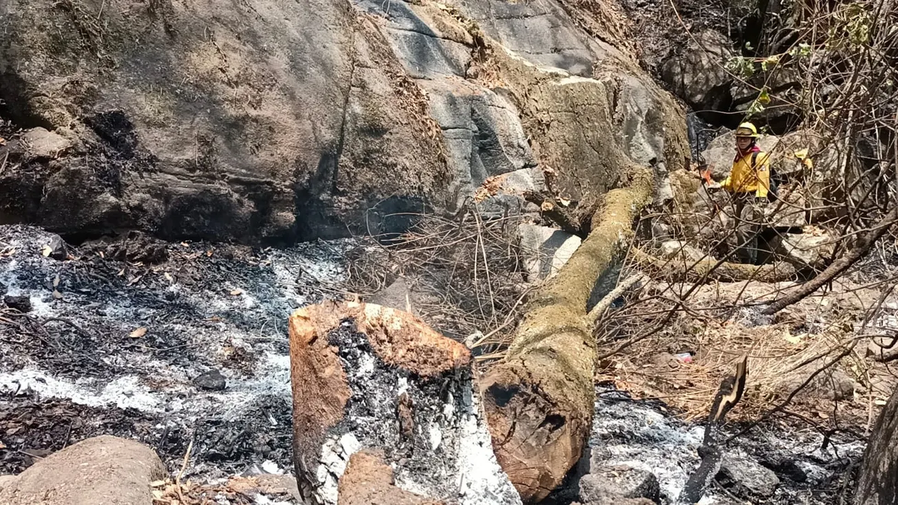 Arrasa incendio con 500 hectáreas de la Sierra de Huautla en Morelos