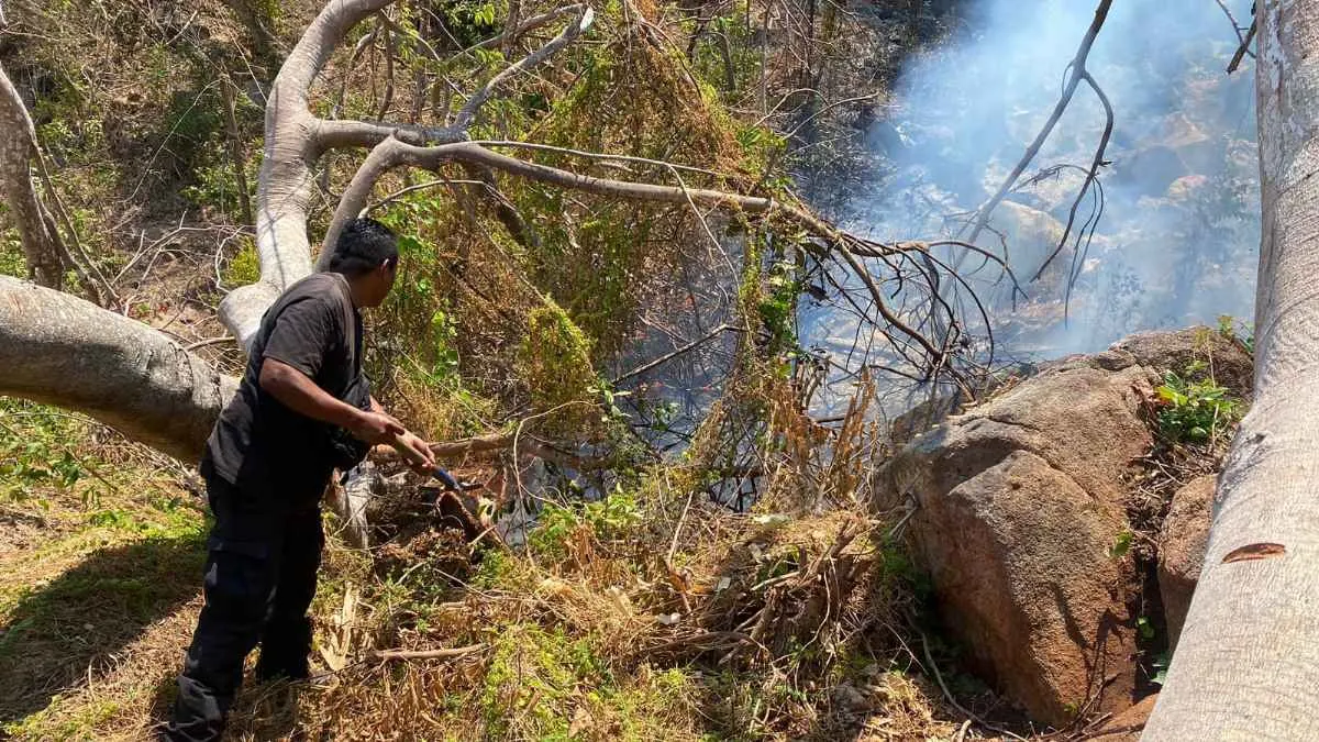 Este es el protocolo básico para combatir incendios forestales en Acapulco