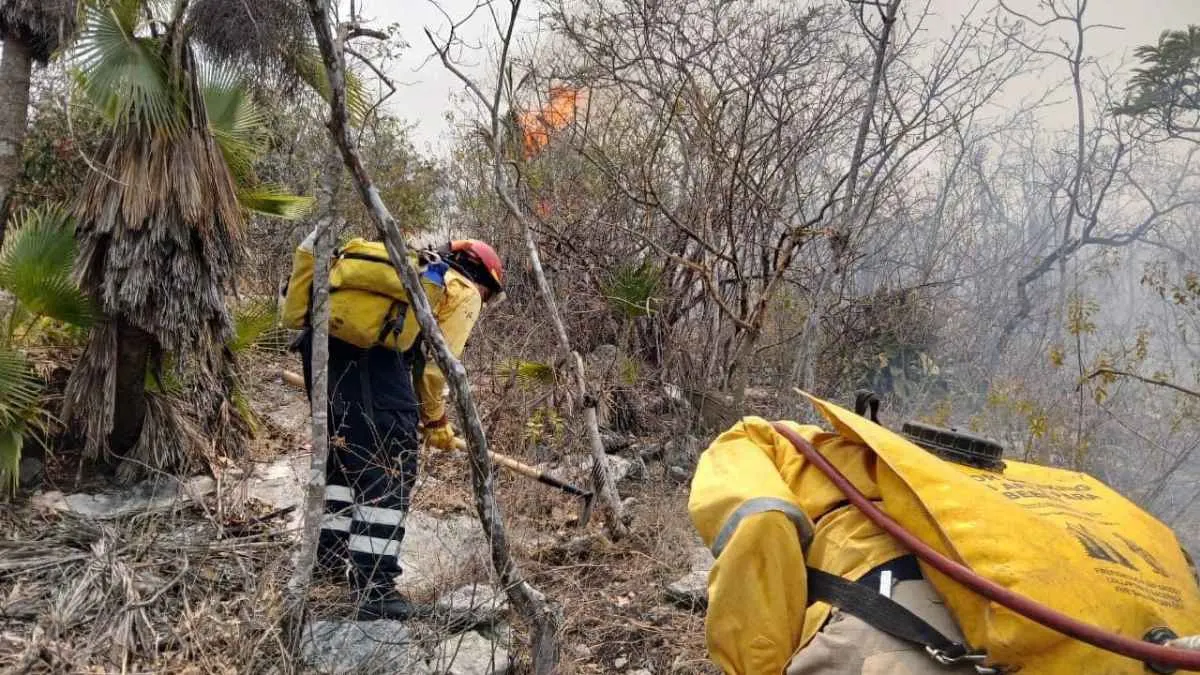 Chilpancingo enfrenta simultáneamente cuatro incendios forestales