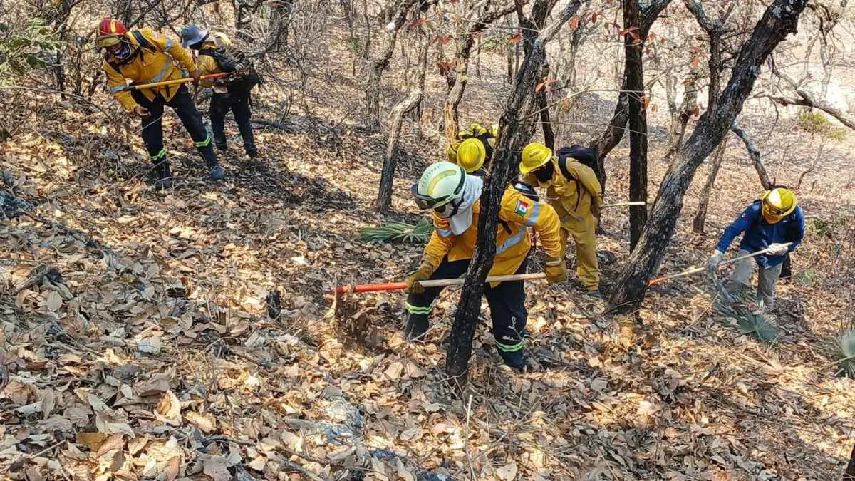 Hay 26 incendios activos en 15 municipios de Guerrero