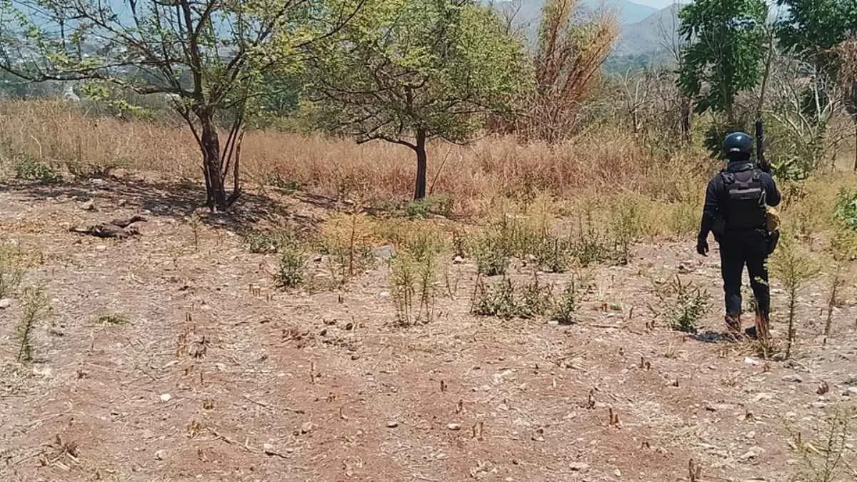 Hallan restos óseos al lado de carretera en Chilpancingo