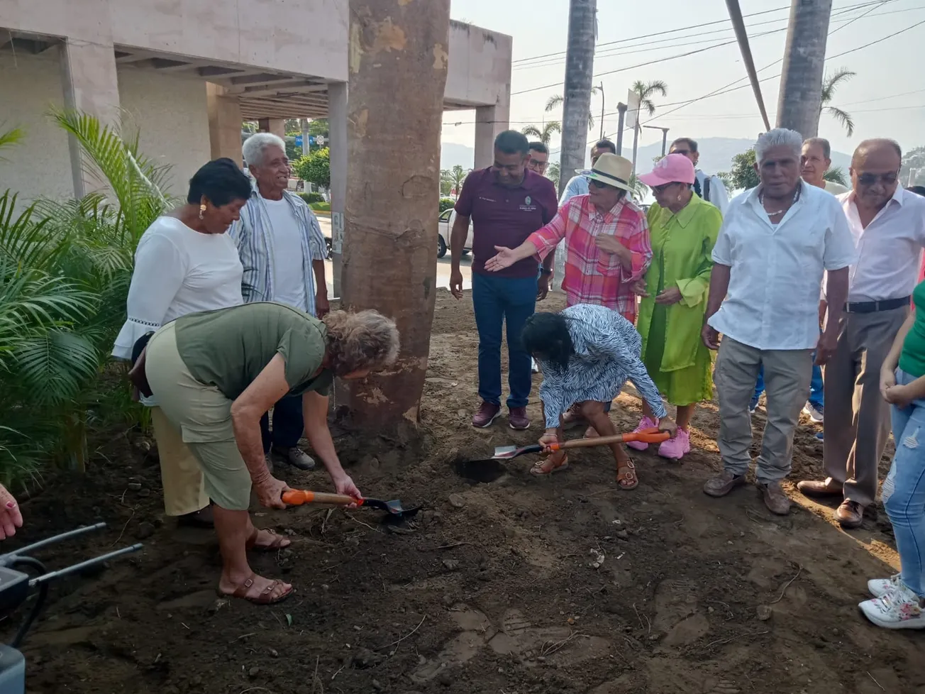 Tras Otis, busca el Ayuntamiento reforestar Acapulco con 10 mil árboles en la Costera