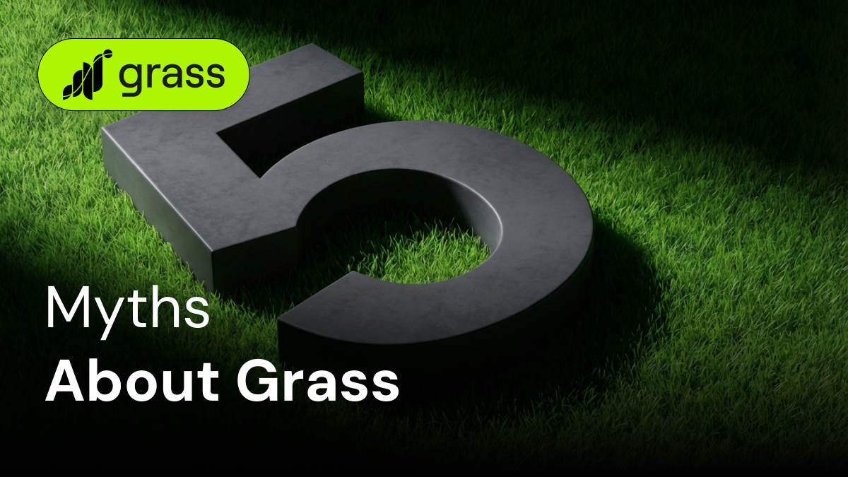 5 Common Myths About Grass – And the Truth You Need to Know