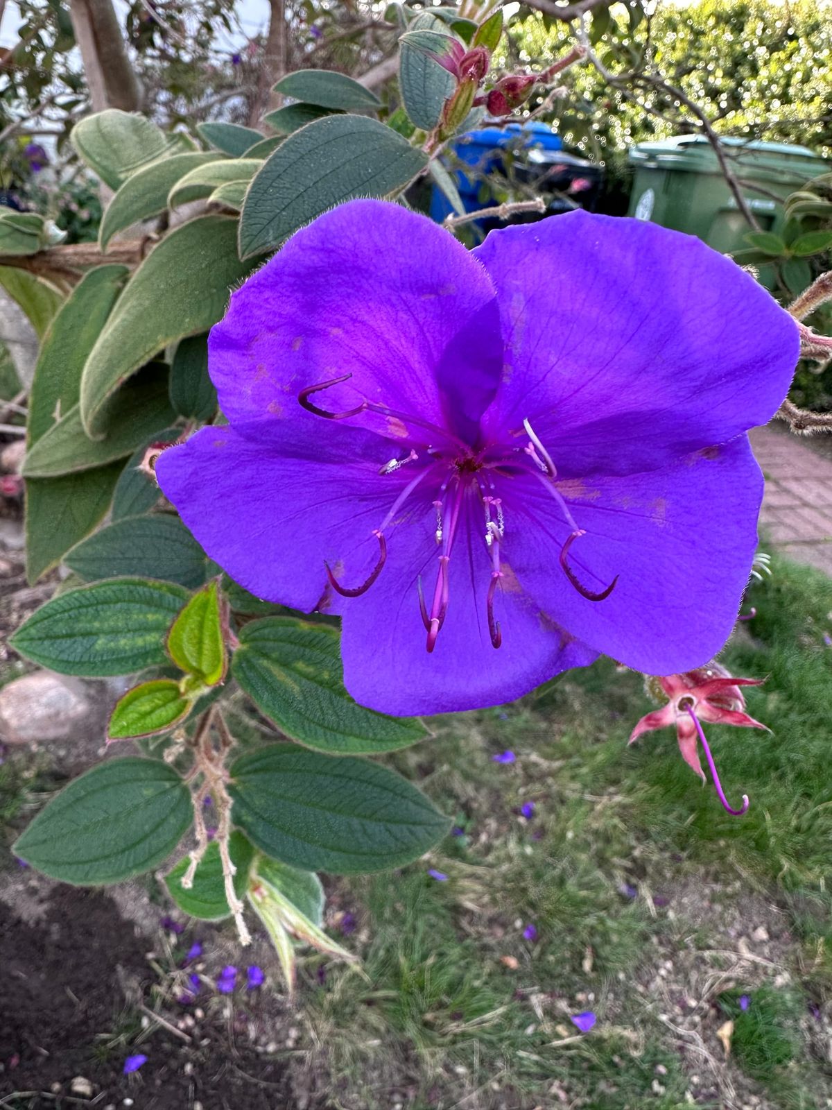 Roll of 28 2026 day 1